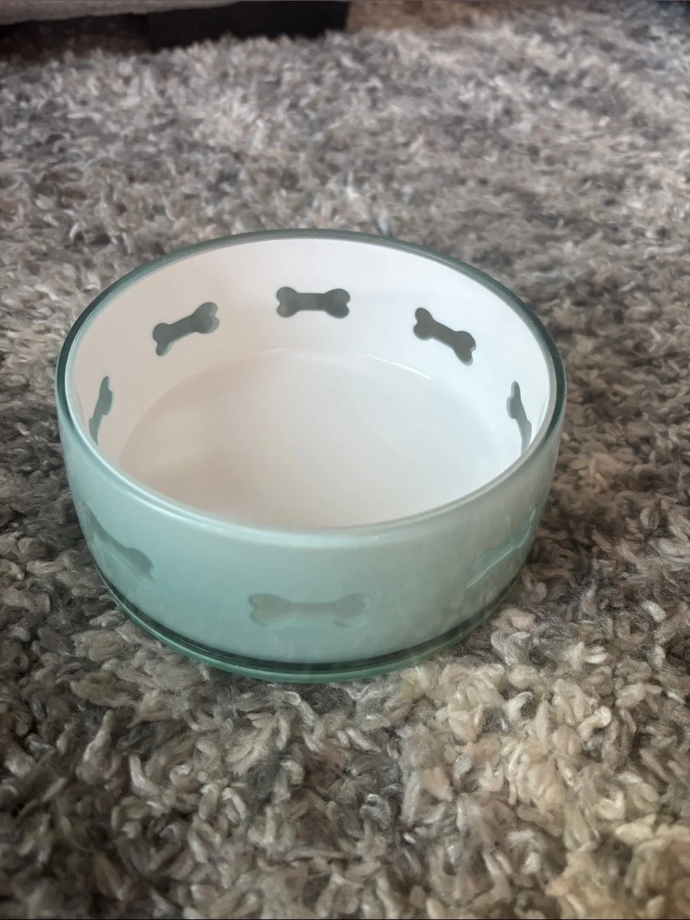 Aqua Ceramic Pet Bowl with Bone Motif